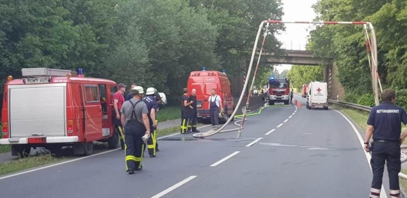 Feuer Wald groß (FW5)